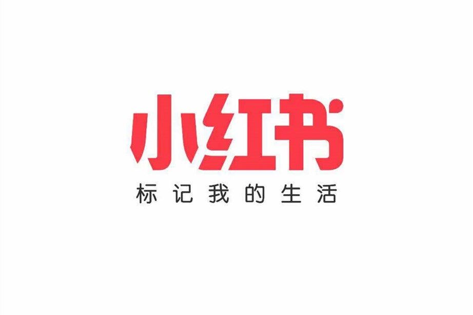 视频号新风口
